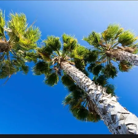 아파트 Myinzu - Club Village Garden 알부페이라